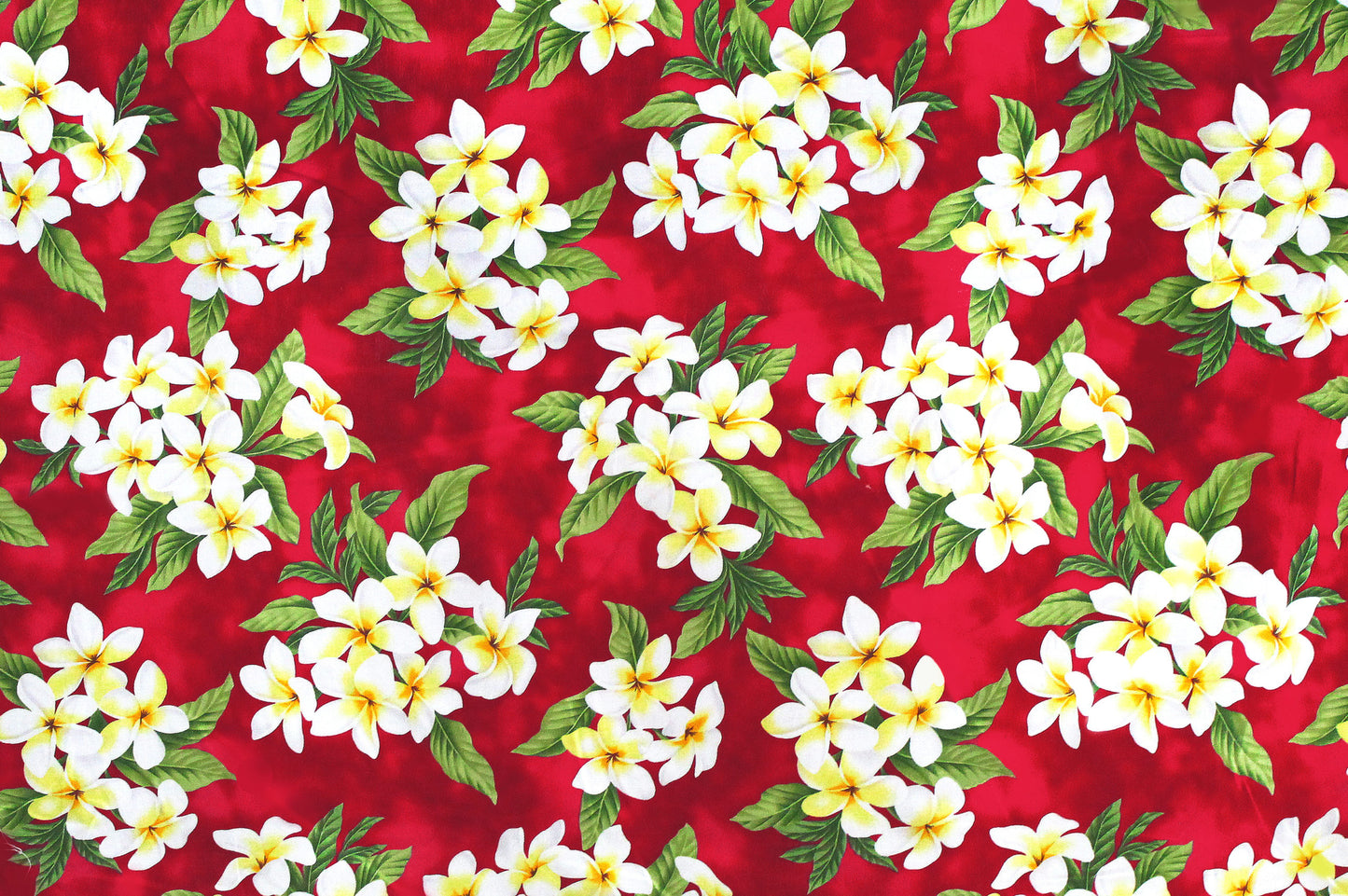 CAA0791 Red
