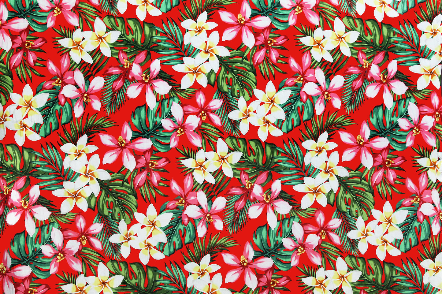 CAA1016 Red
