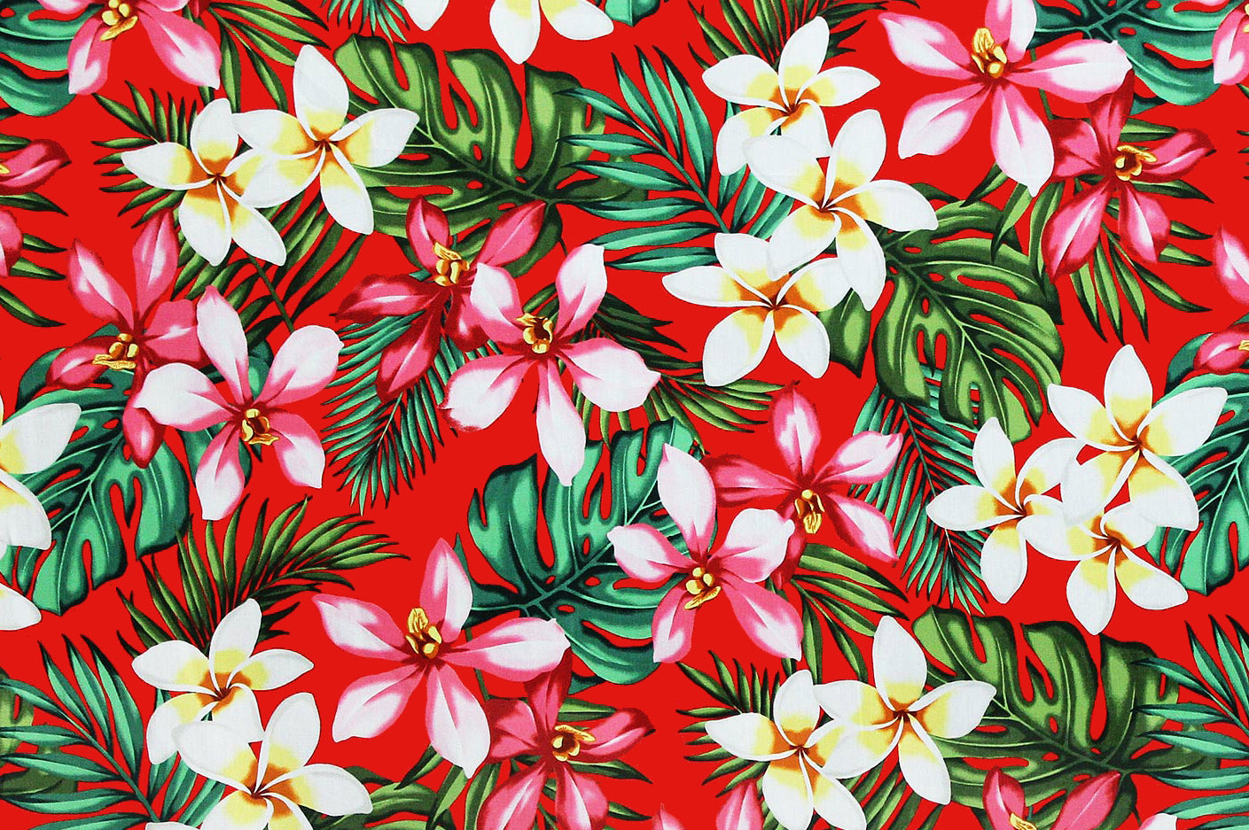 CAA1016 Red
