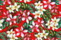 CAA1016 Red
