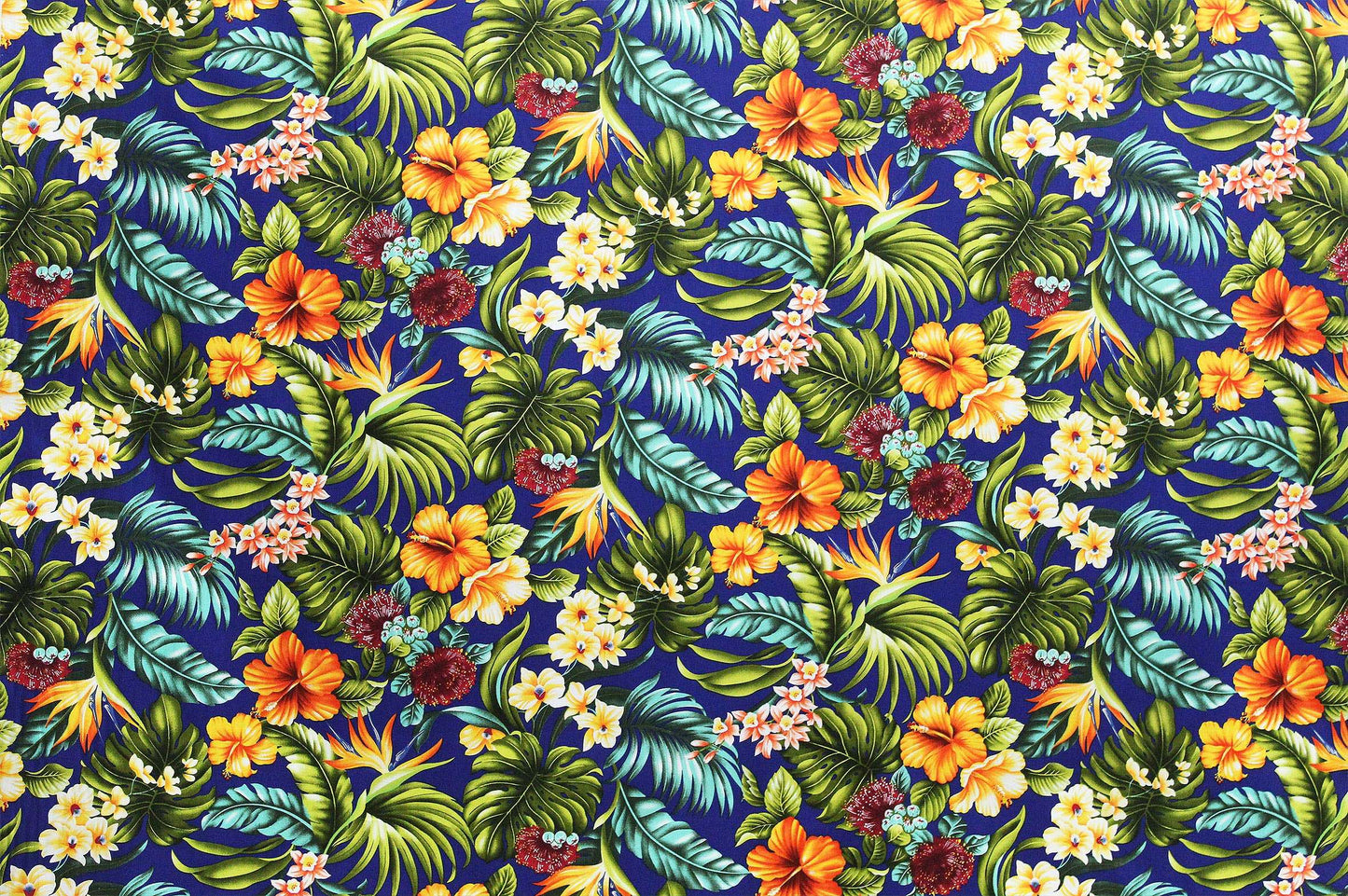 CAA1029 Royal