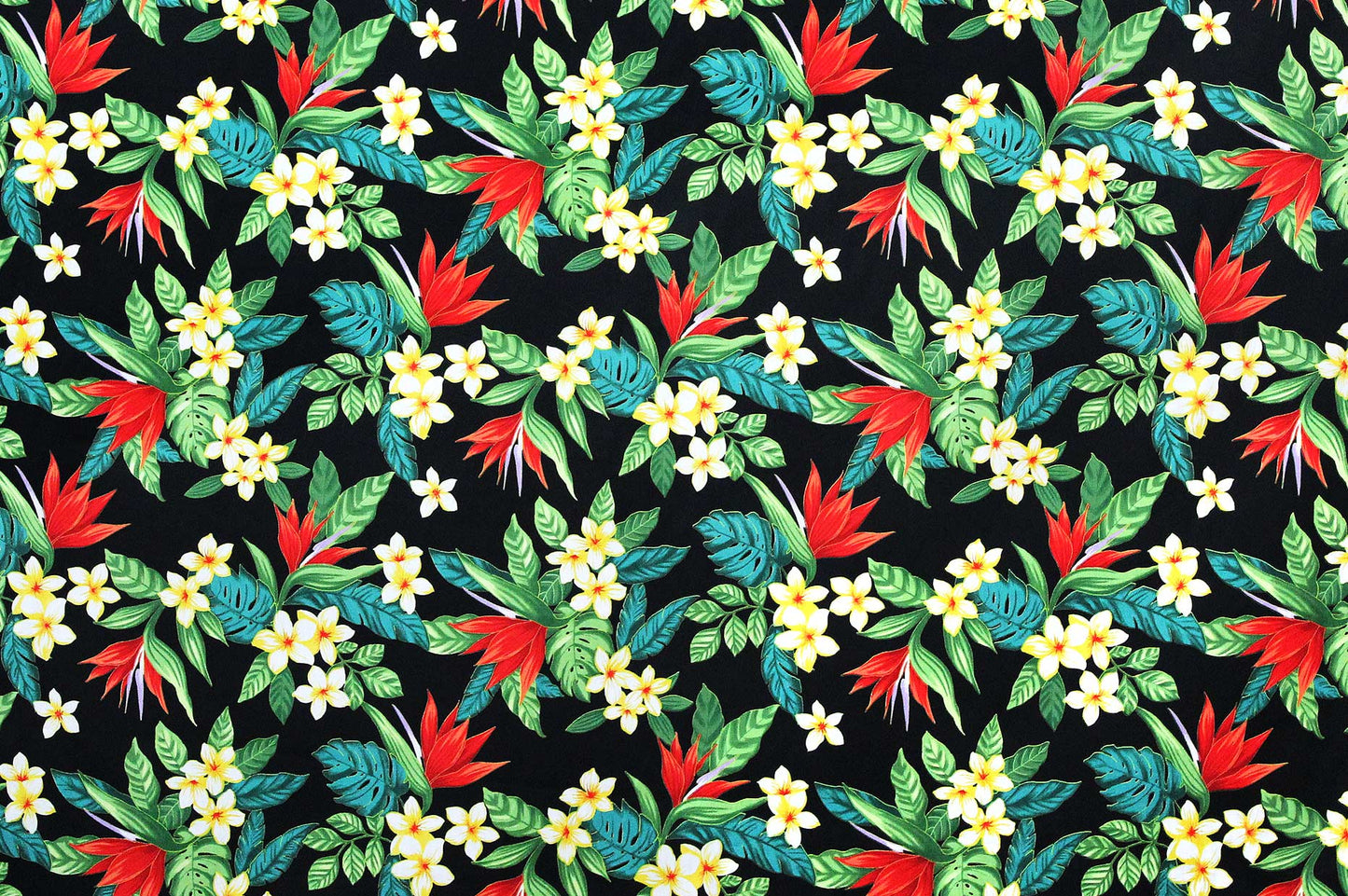 CAA1041 Black