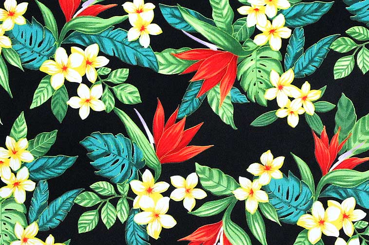 CAA1041 Black