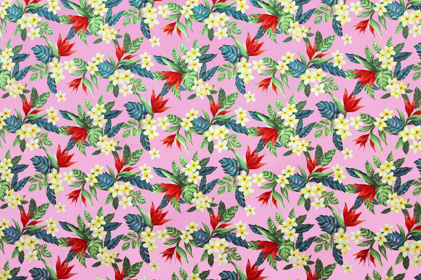 CAA1041 Pink