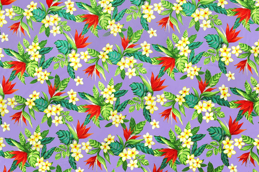 CAA1041 Lavender