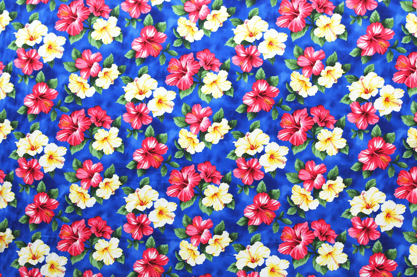 CAA1043 Blue