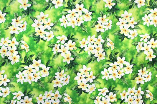 CAA0791 Lime