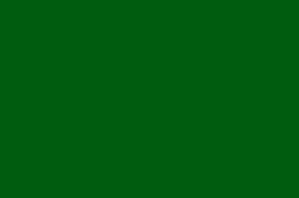 Poly Poplin (Gaberdine) Frag Green