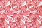 CAA0009 Coral