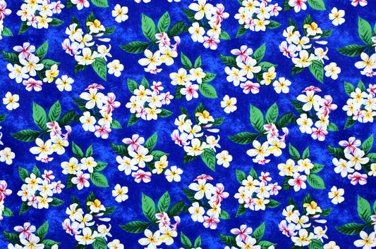 CAA1162 Blue