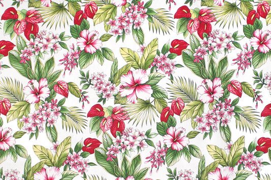 CAA1496 White