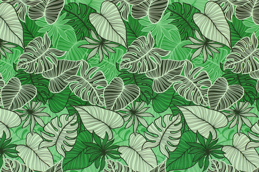 CAA1504 Green