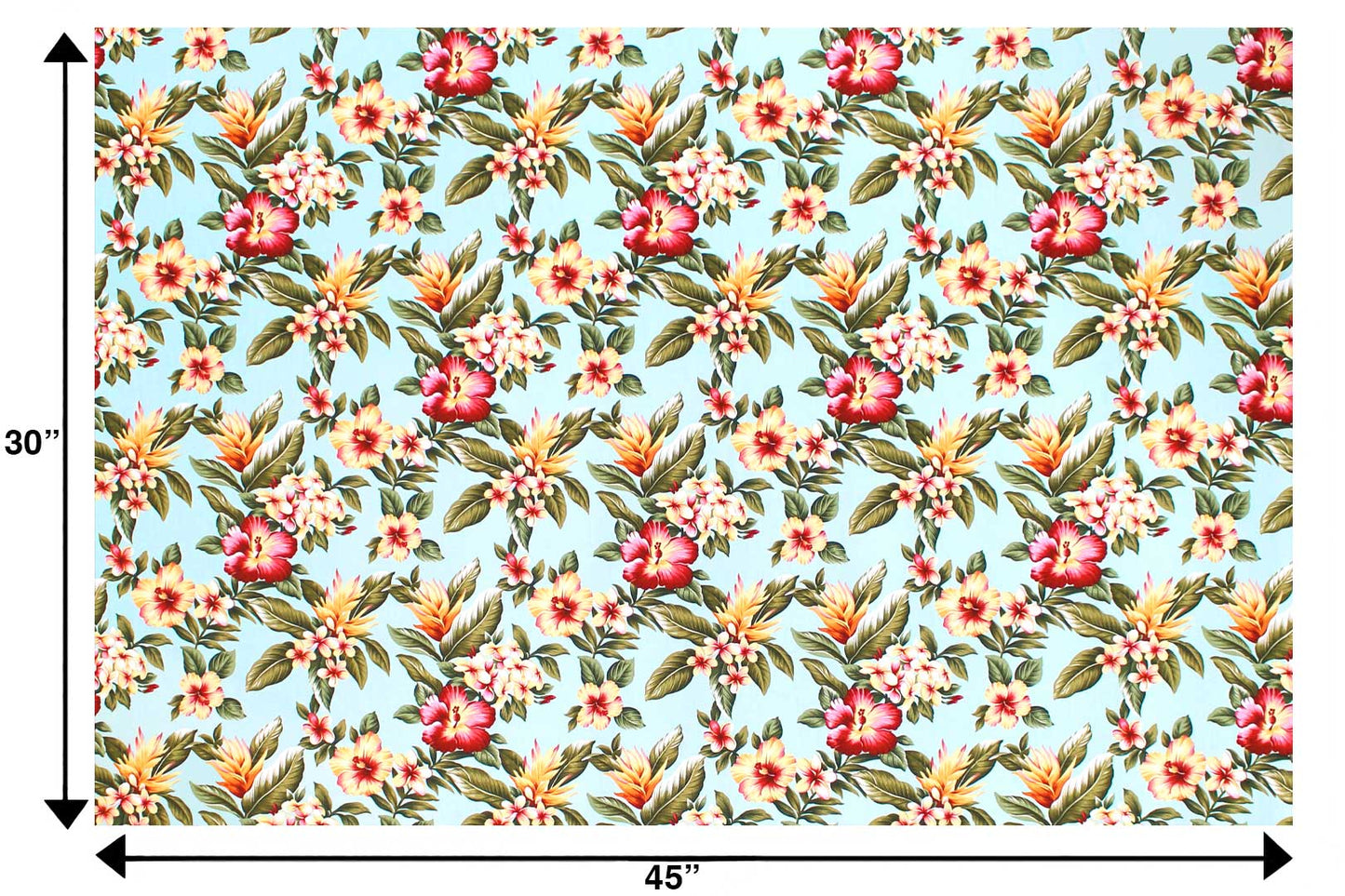 CAA1515 Aqua