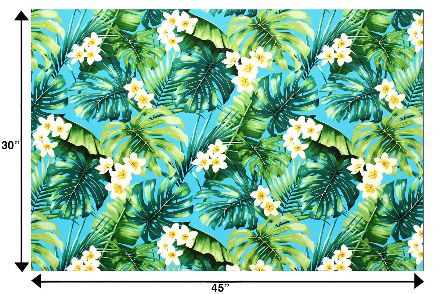 CAA1516 Blue
