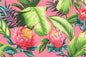 CAA1517 Coral