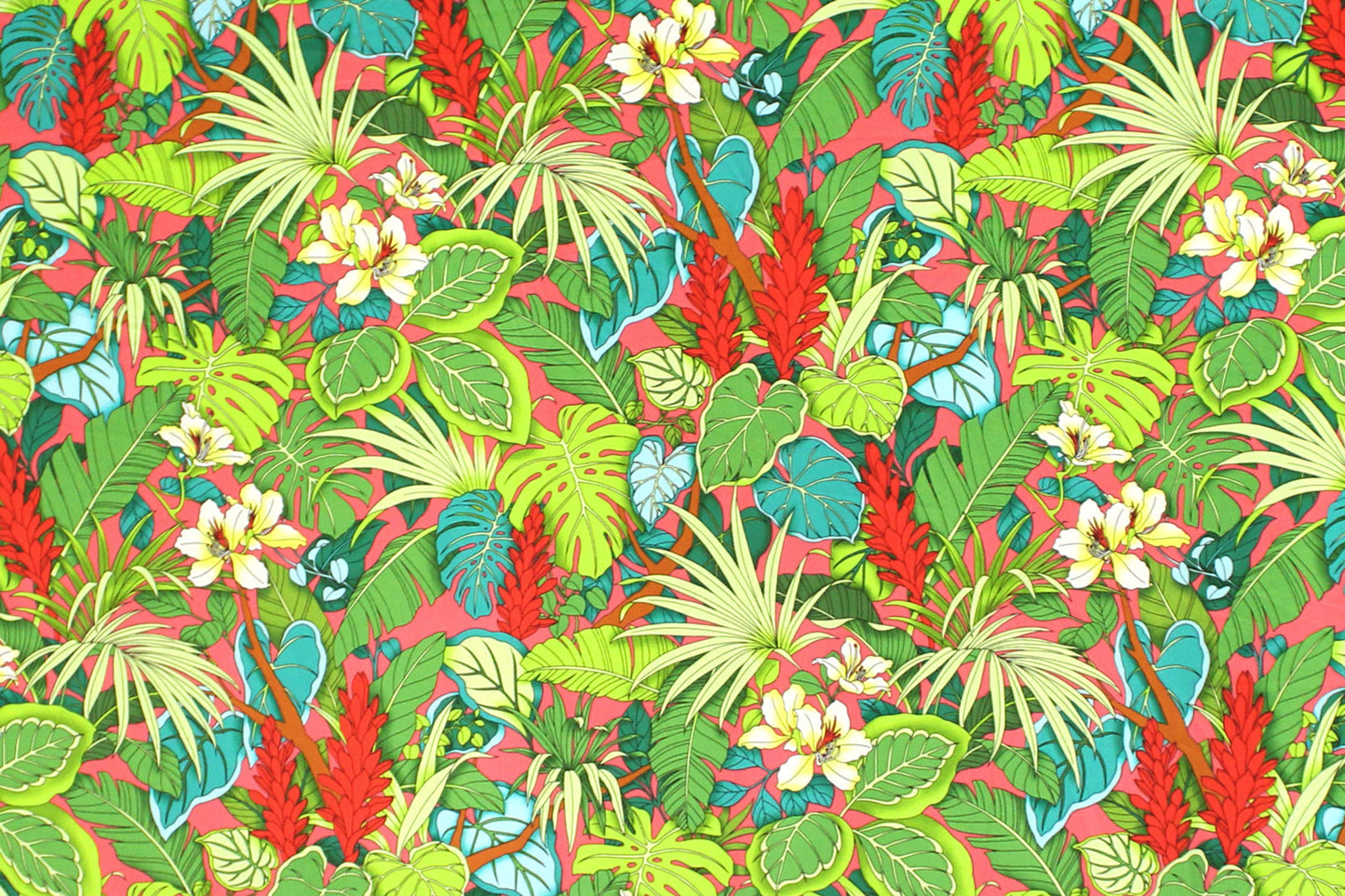 CAA1518 Coral