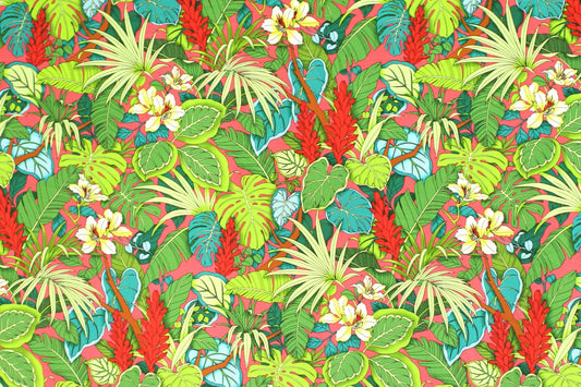 CAA1518 Coral