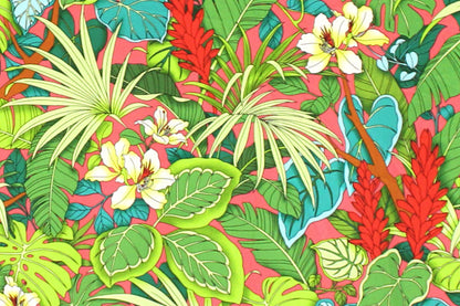 CAA1518 Coral
