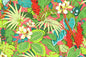 CAA1518 Coral