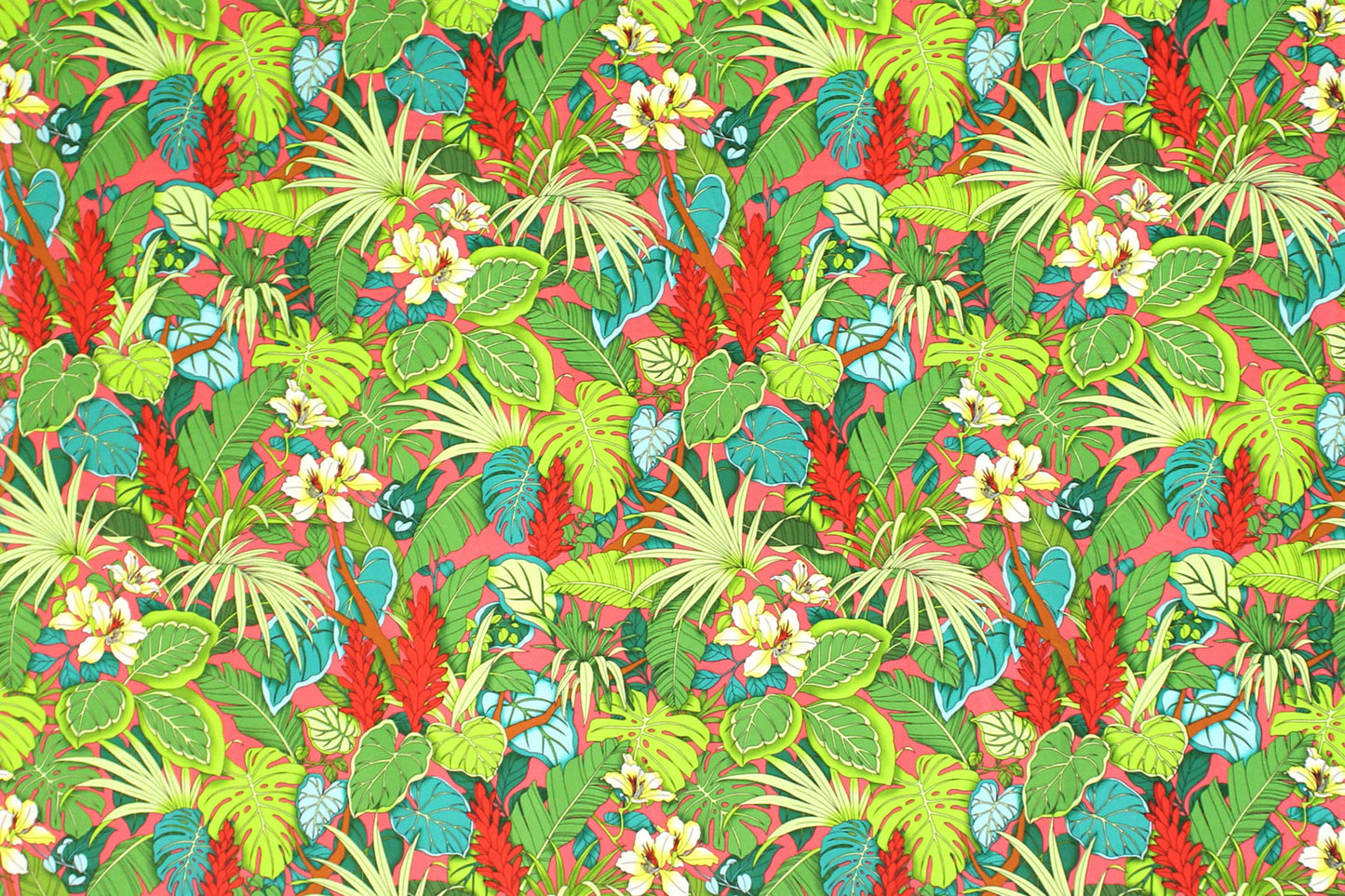 CAA1518 Coral