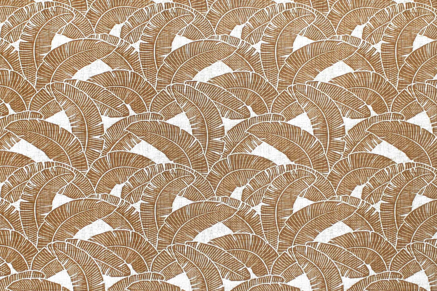 CAA1520 Coconut