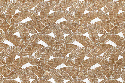 CAA1520 Coconut