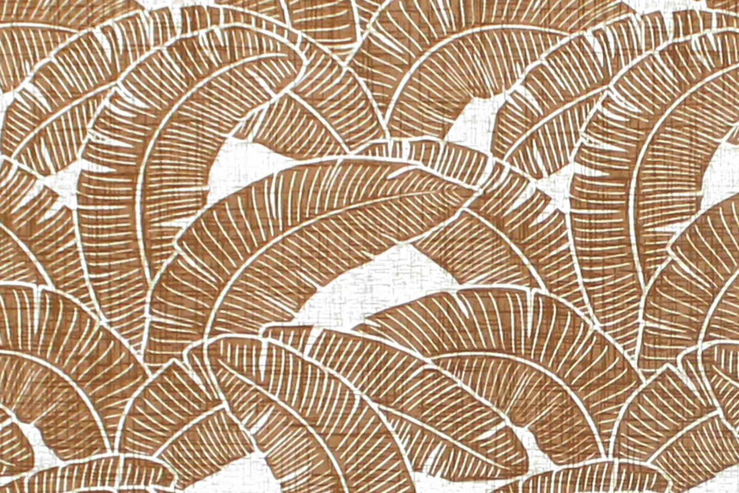 CAA1520 Coconut
