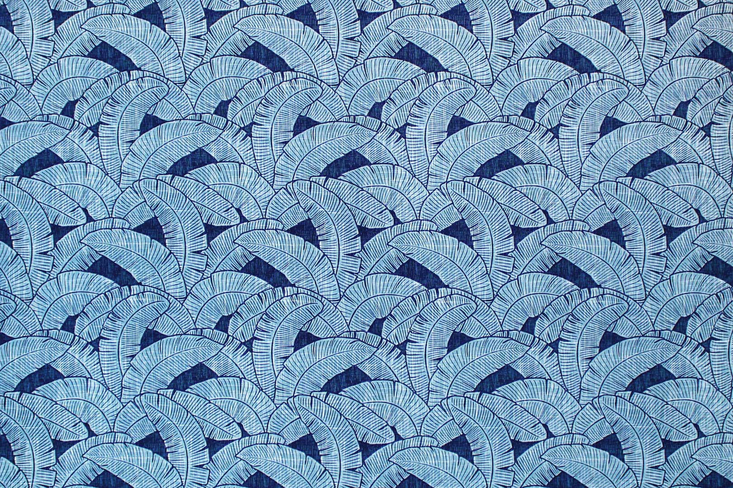 CAA1520 Navy