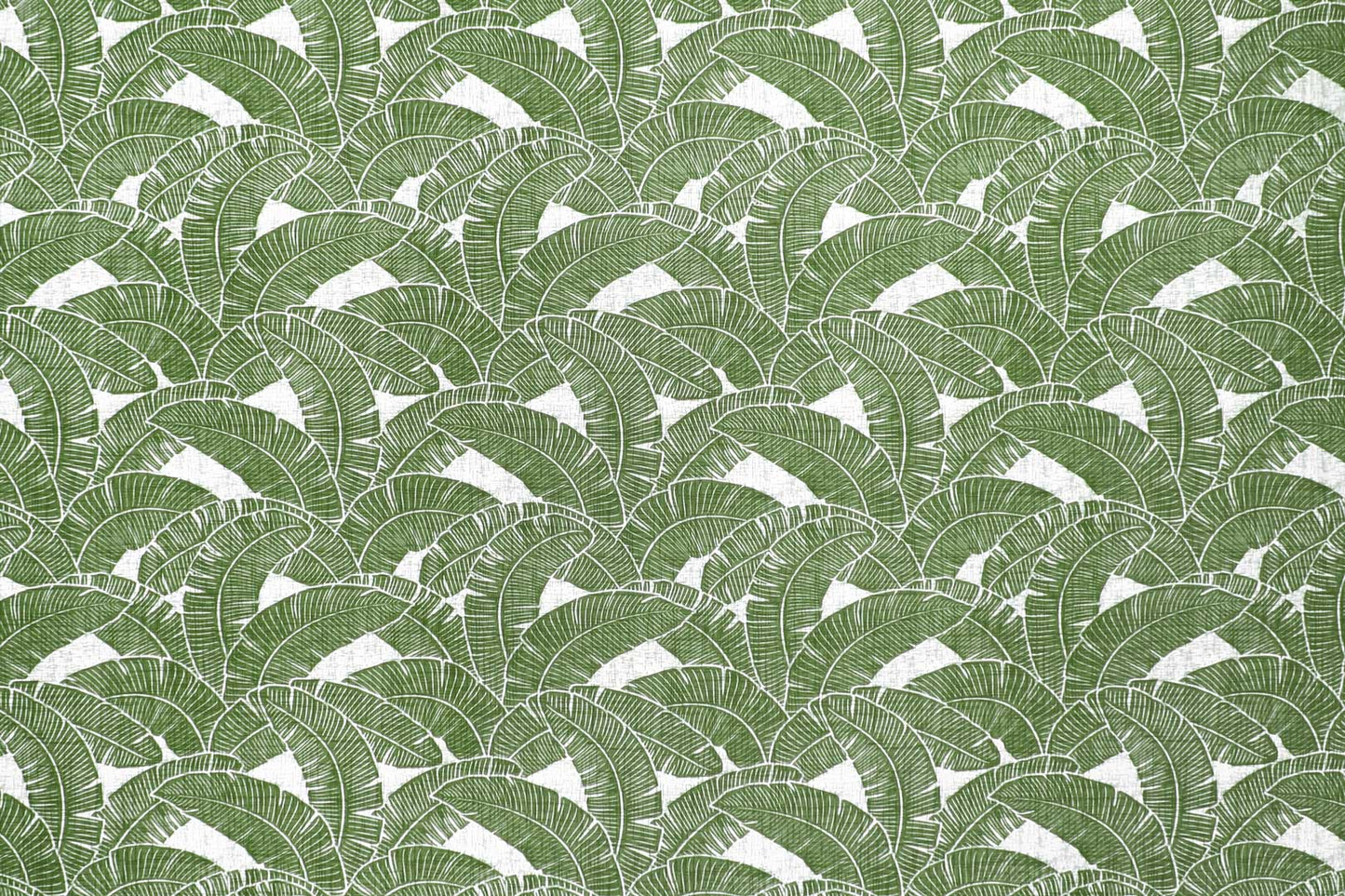 CAA1520 Sage