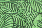 CAA1521 Sage