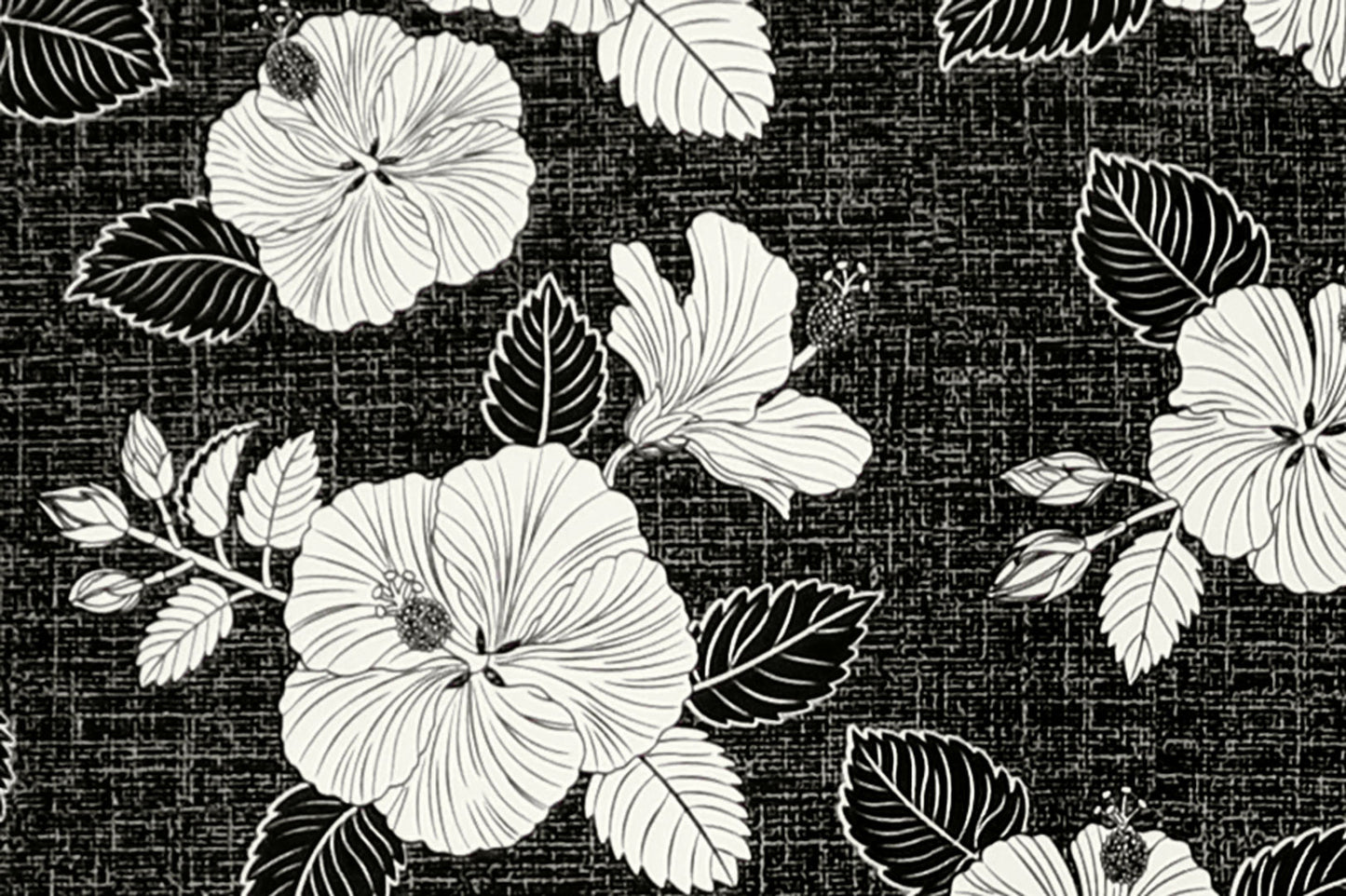 CAA1522 Black