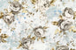 DC0056 Light Blue