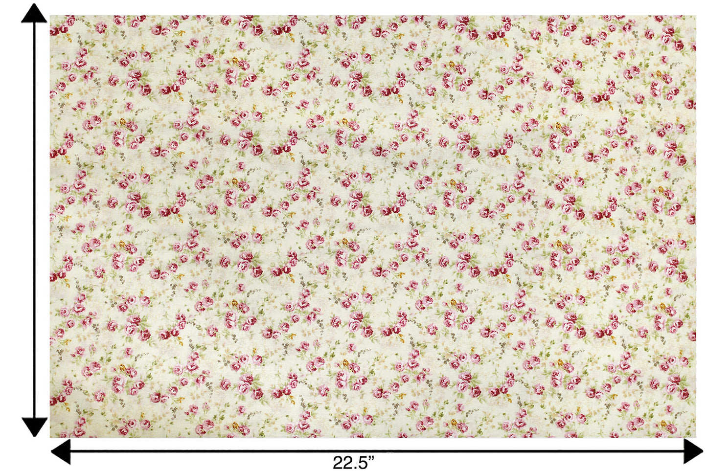 DC0064 Beige