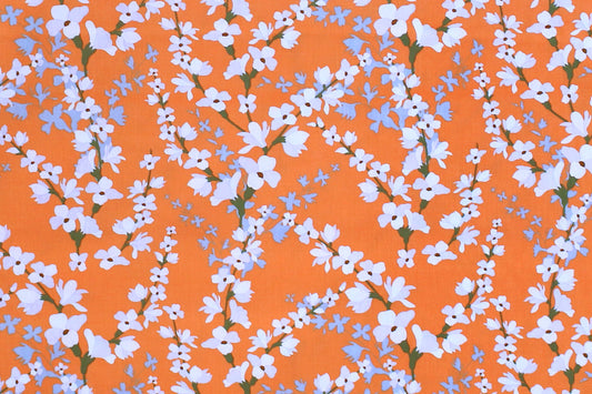 DC0067 Orange