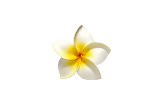 Foam Plumeria Stem Flower - White