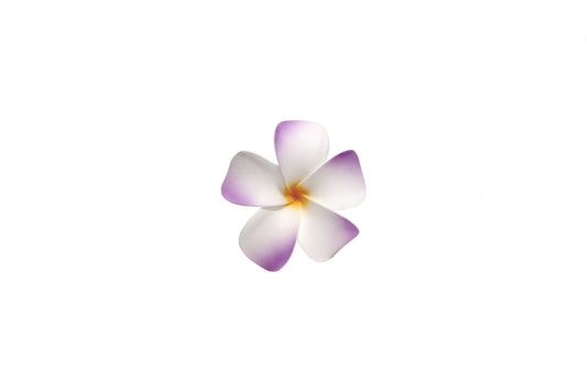 Foam Plumeria Stem Flower - Purple/Yellow