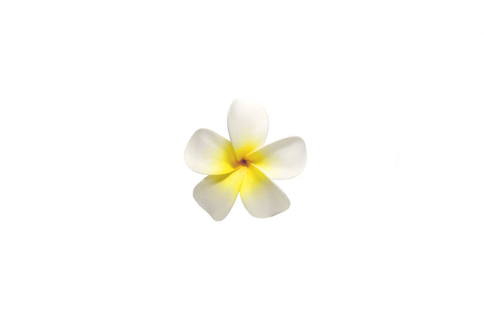 Foam Plumeria Stem Flower - Yellow
