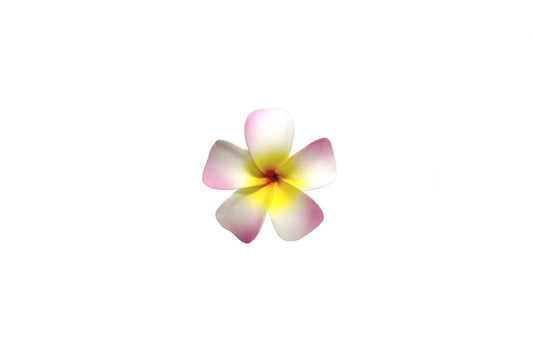 Foam Plumeria Stem Flower - Pink/Yellow