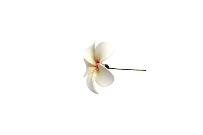 Foam Plumeria Stem Flower - Yellow/Red