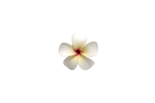 Foam Plumeria Stem Flower - Yellow/Red