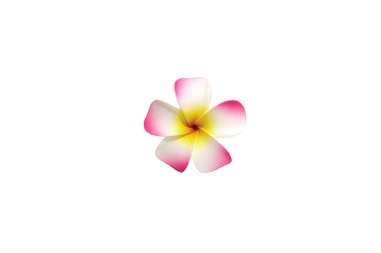 Foam Plumeria Stem Flower - Pink/Yellow/Red