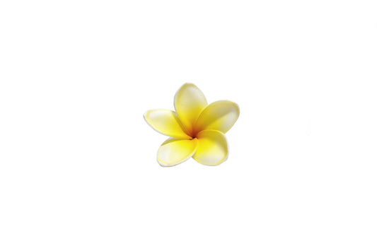 Foam Plumeria Stem Flower - Yellow/Orange