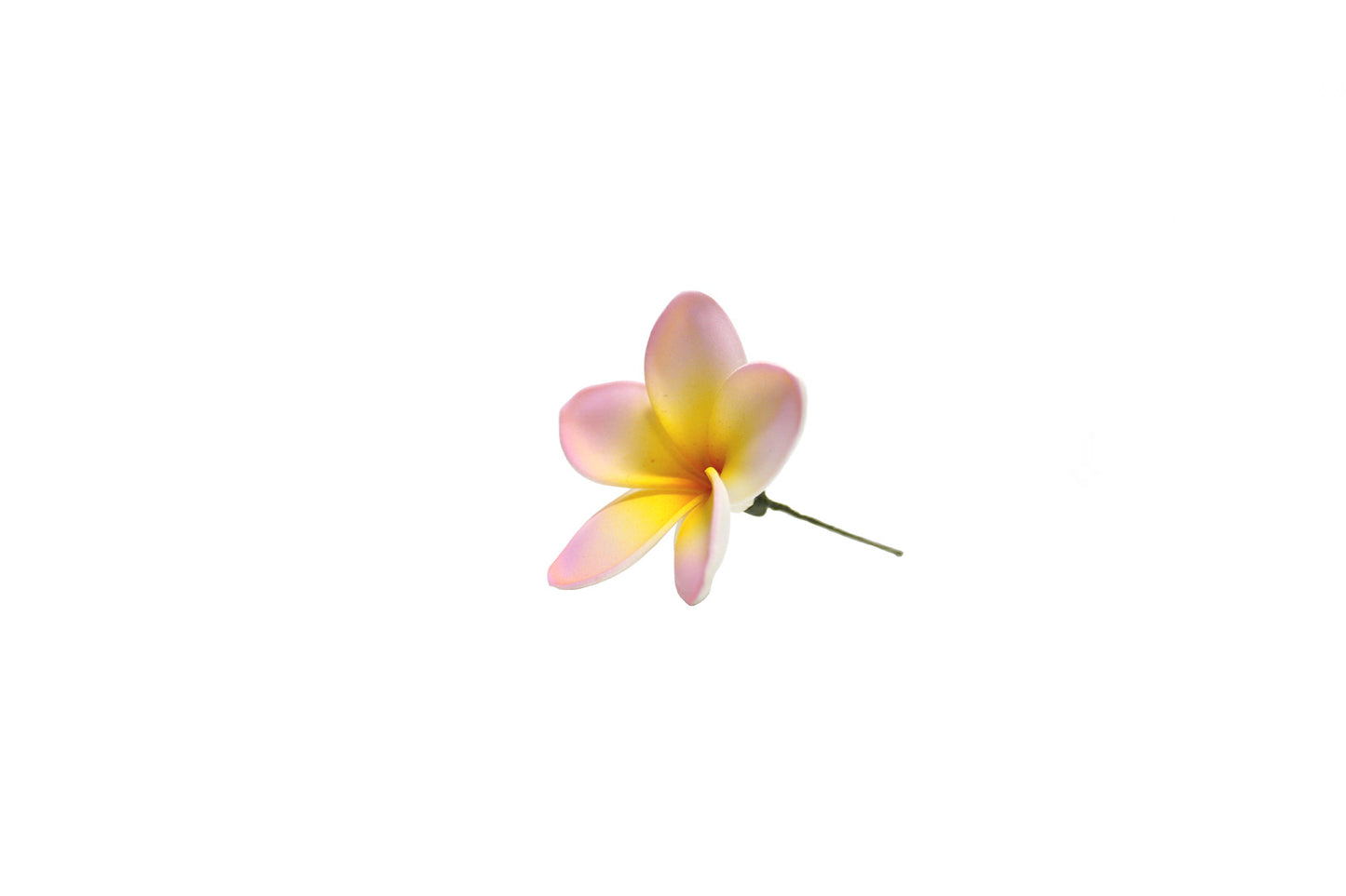 Foam Plumeria Stem Flower - Pink/Orange
