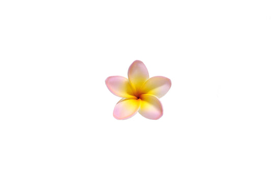 Foam Plumeria Stem Flower - Pink/Orange