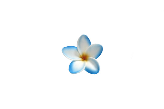 Foam Plumeria Stem Flower - Turquoise/Orange