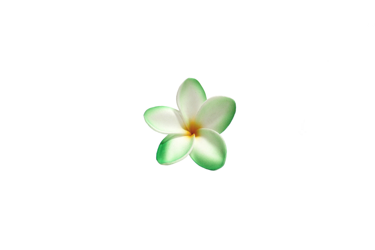 Foam Plumeria Stem Flower - Green/Orange