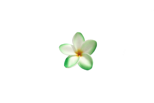 Foam Plumeria Stem Flower - Green/Orange