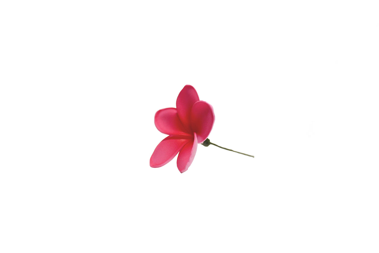 Foam Plumeria Stem Flower - Pink/Red