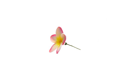 Foam Plumeria Stem Flower - Pink/Yellow