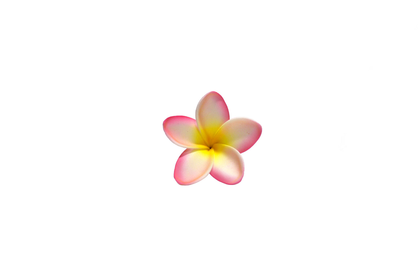 Foam Plumeria Stem Flower - Pink/Yellow